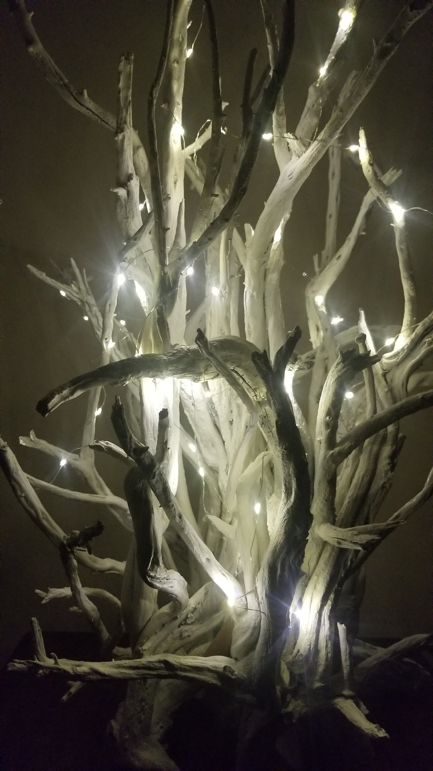 White Spirit Tree