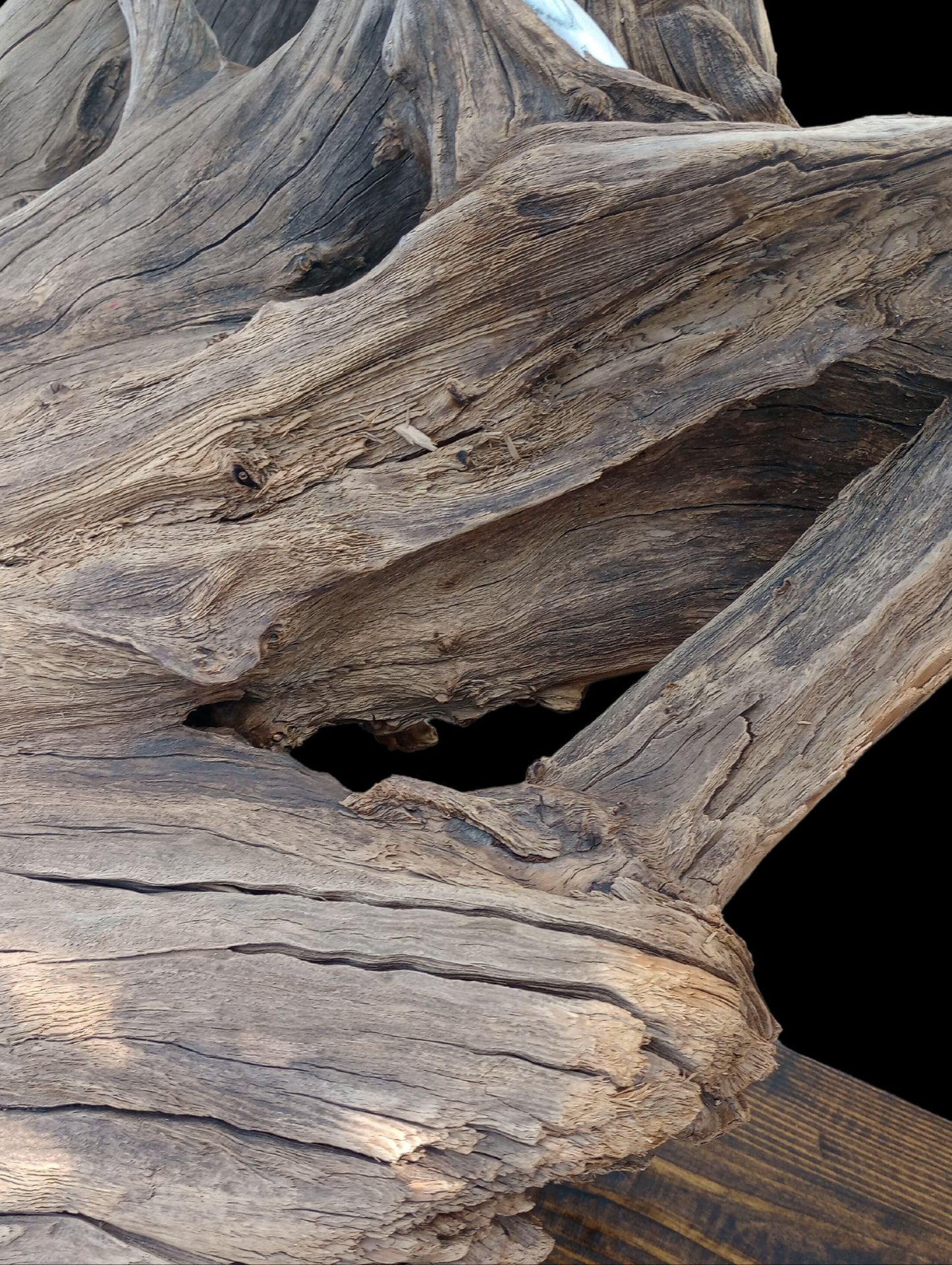 Cedar Driftwood