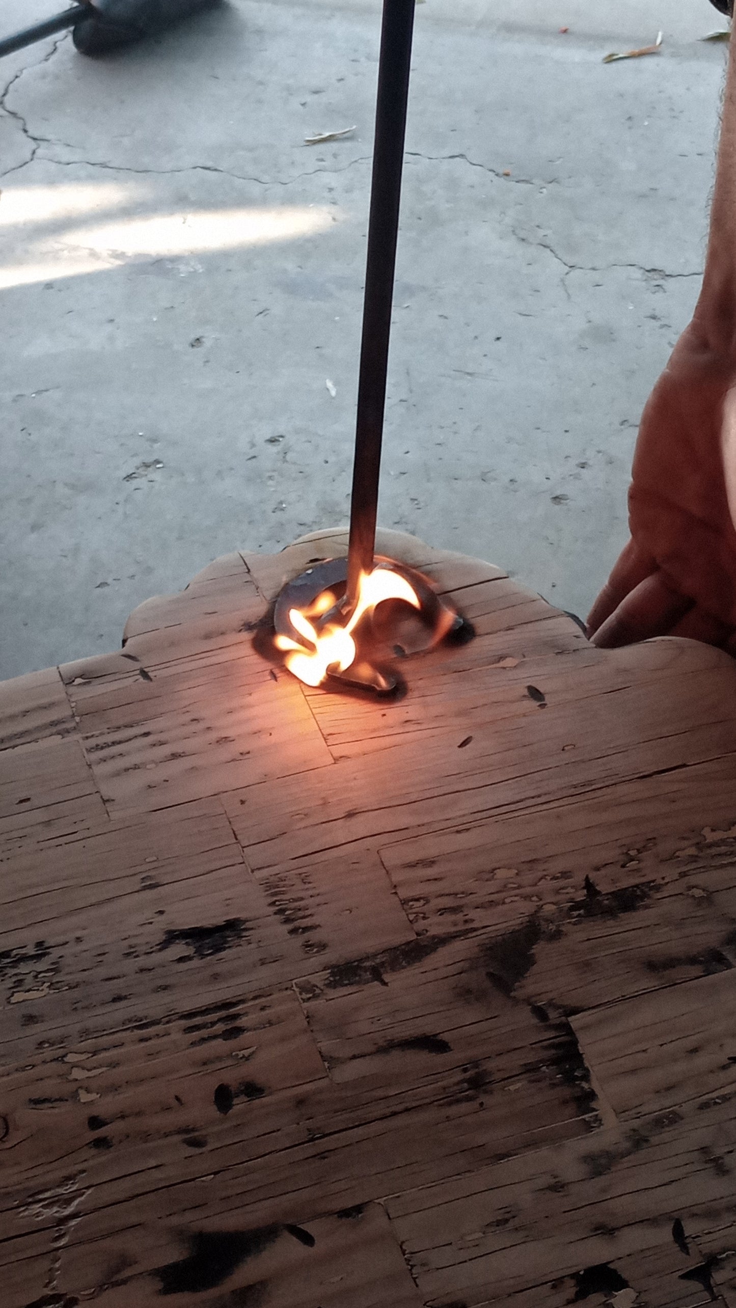 "Little Big Sky" Cedar Bench