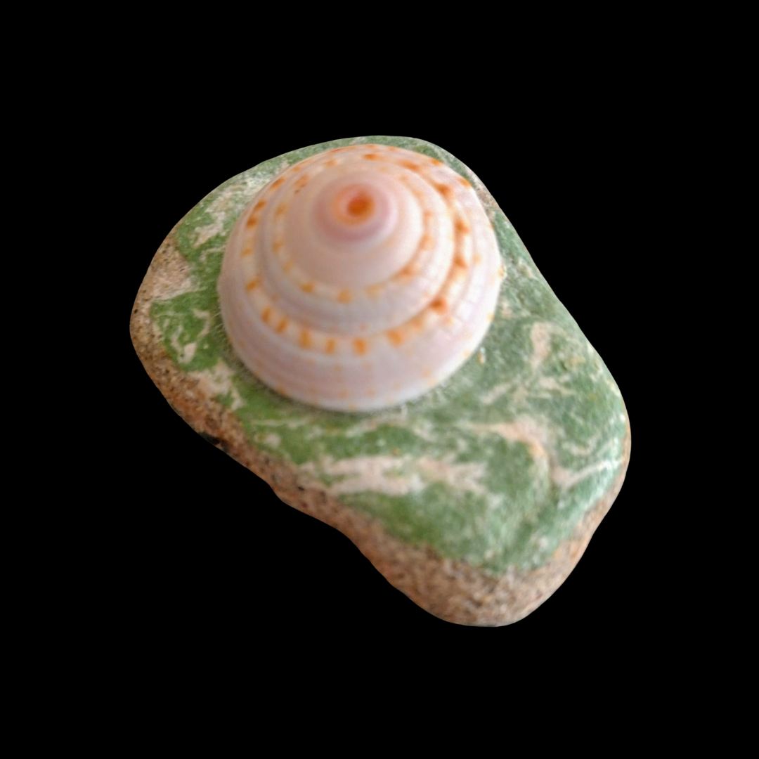 Caribbean Sea Pottery Incense Burner