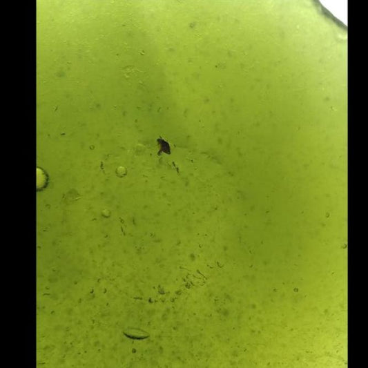 Emerald Green Sea Glass Display Bowl