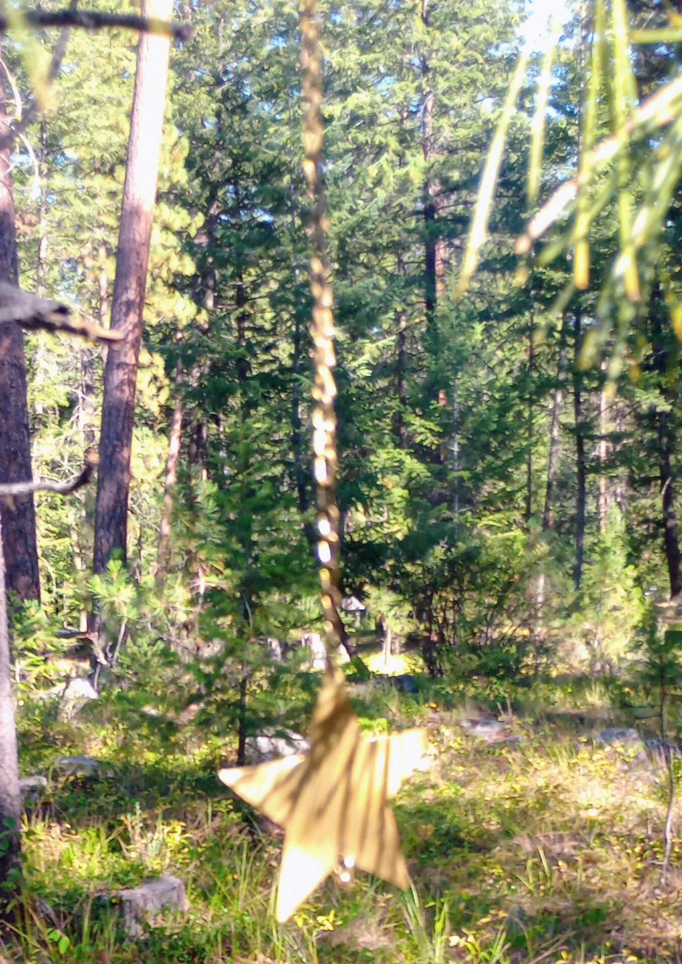 Dancing Golden Star (small)